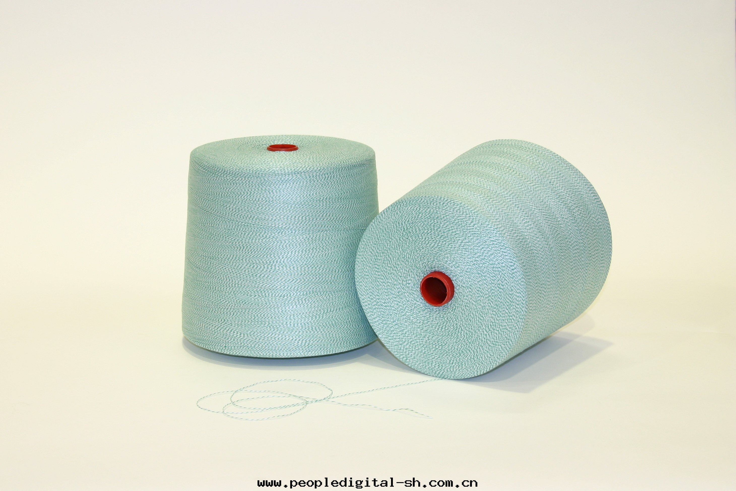 照片(piàn) 2161.jpg